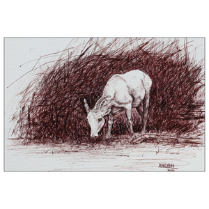 Open image in slideshow, &quot;Calm and Strong&quot; Art Greeting Card. Ink Drawing of Female Bighorn Sheep. Flat Cards.
