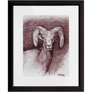 Open image in slideshow, &quot;Perseverance&quot; Ink drawing of Bighorn Sheep. Framed Prints.
