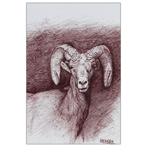 Open image in slideshow, &quot;Perseverance&quot; Art Greeting Card. Flat Cards. Ink Drawing - Bighorn Sheep.
