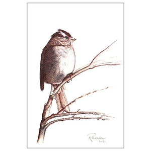 "Know Thyself" Art Greeting Card. Ink drawing of desert bird. Printed Flat Cards.