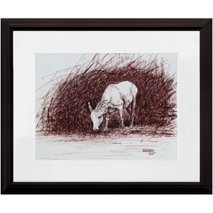 Open image in slideshow, &quot;Calm and Strong&quot; Ink drawing. Bighorn Sheep - Female. Art Framed Prints.
