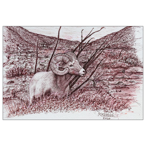 "Mindset" Art Greeting Cards. Flat Cards. Ink Drawing - Big Horn Sheep.